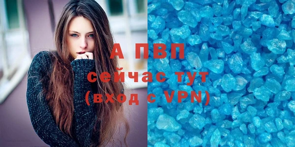 стаф Богородицк
