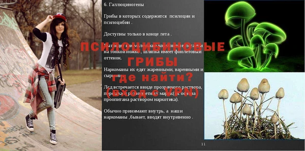 крисы Белоозёрский