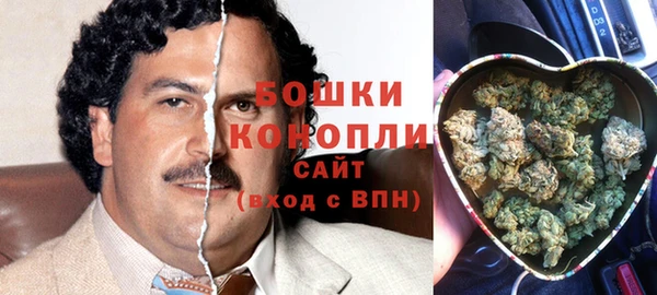 крисы Пересвет